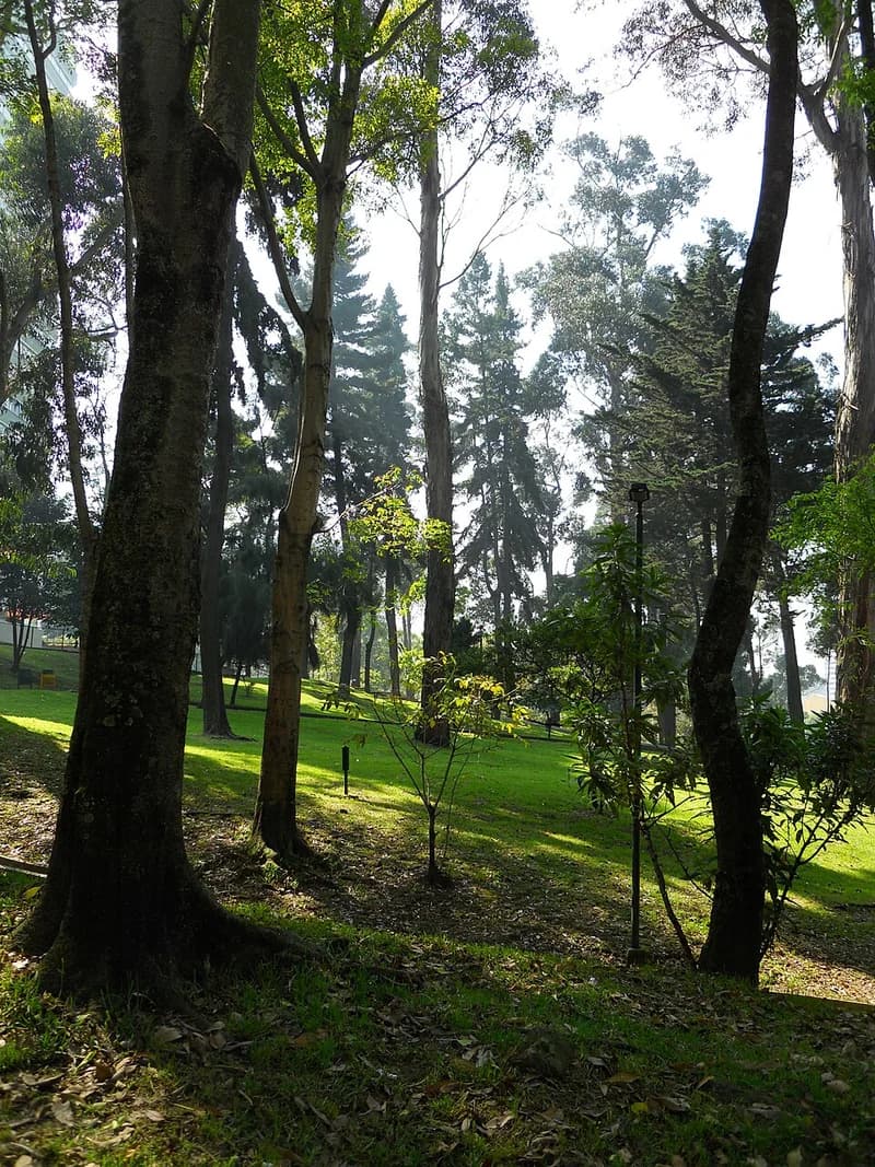 Independence Park